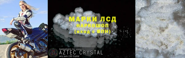 СК Володарск